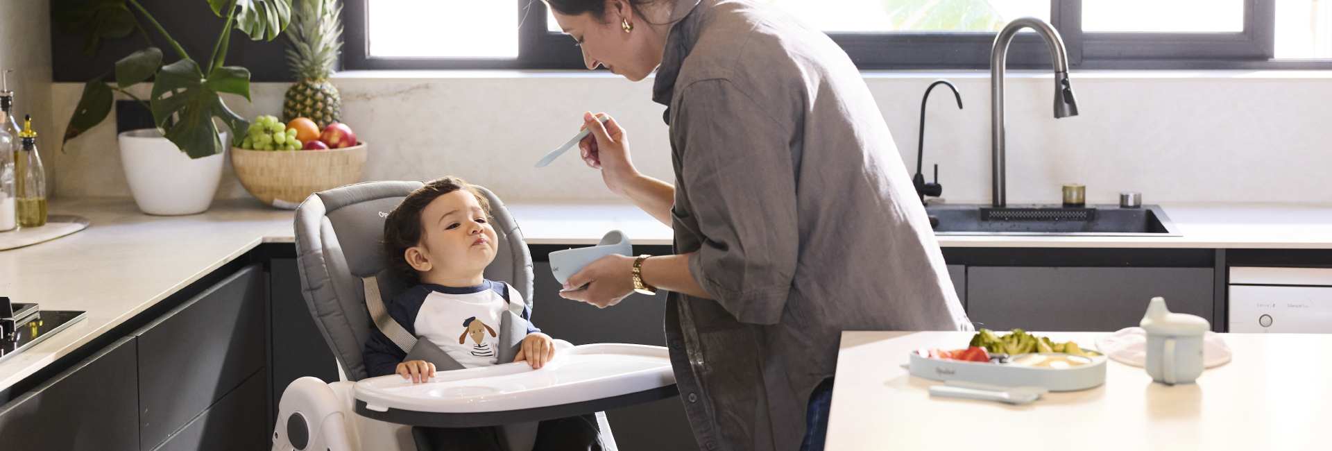 alimentación complementaria